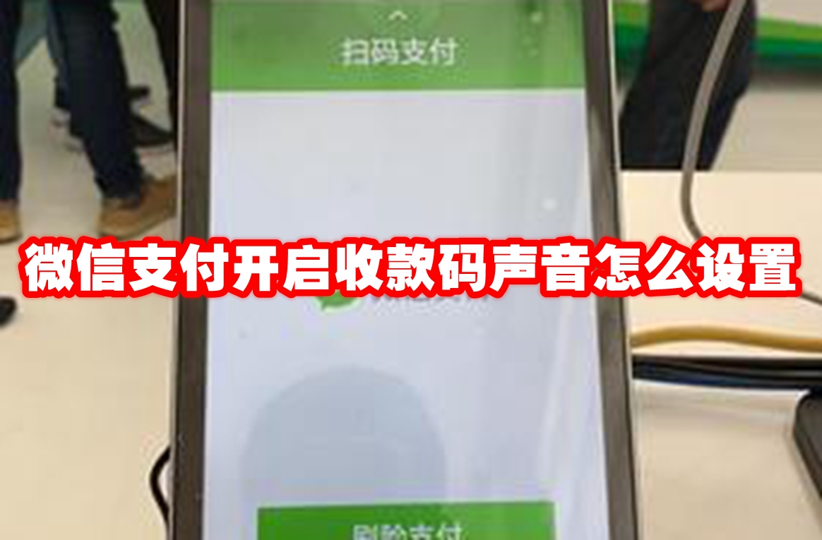 微信支付开启收款码声音怎么设置