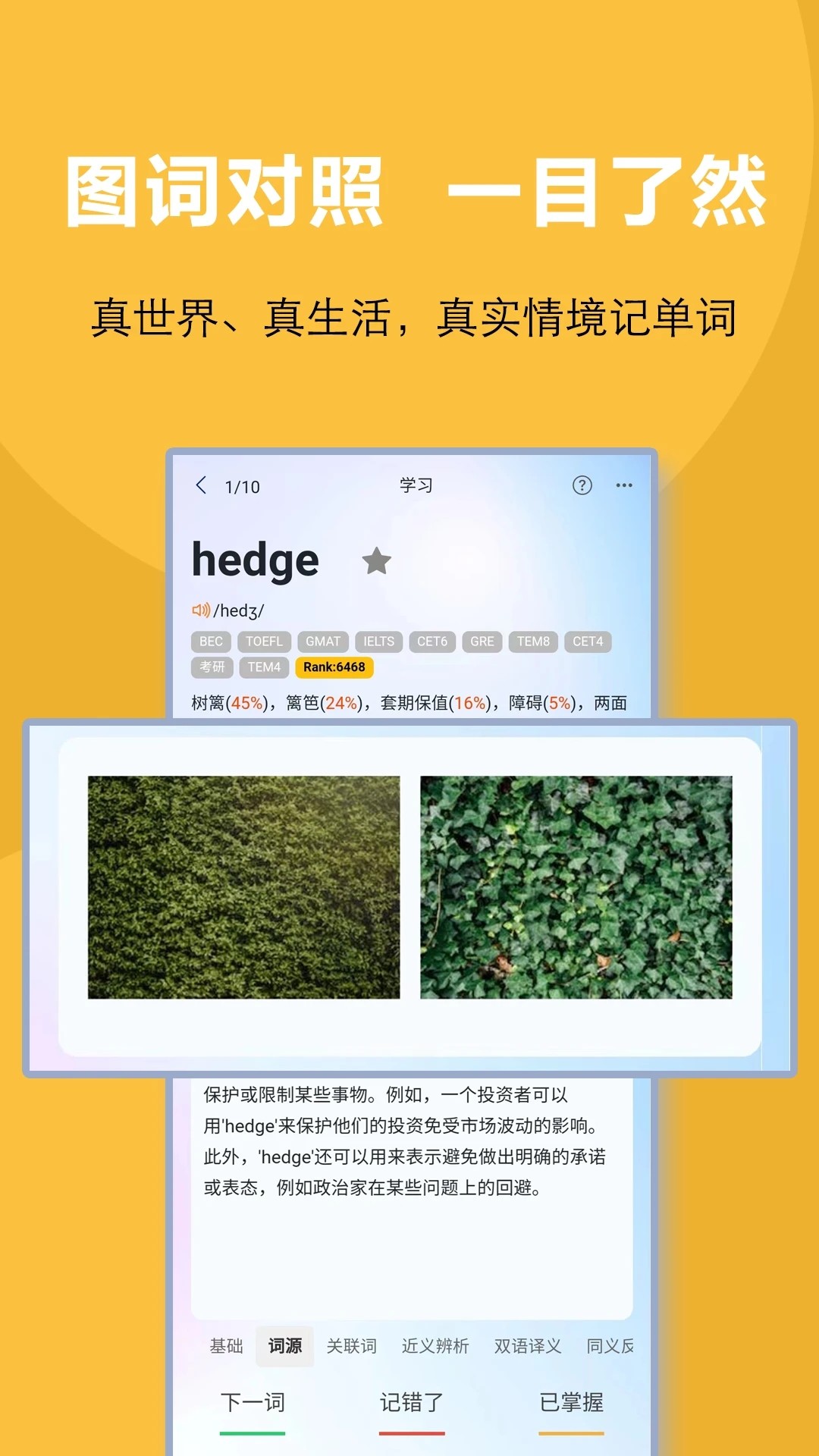 过目不忘单词app