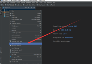 intellij idea怎么操作项目