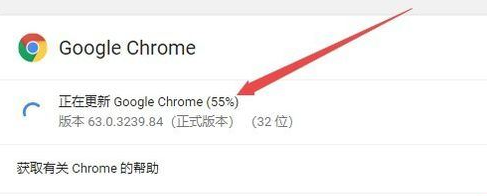 谷歌浏览器不能升级怎么解决