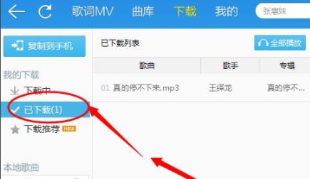 怎么把音乐软件的歌曲下载到本地