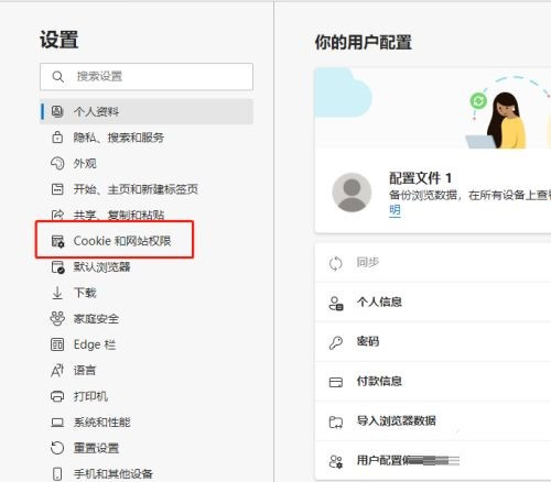 Edge浏览器怎么查看Cookie数据
