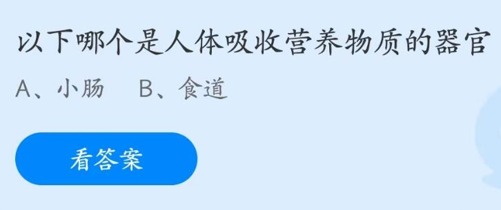 支付宝蚂蚁庄园5月答案每日更新2023